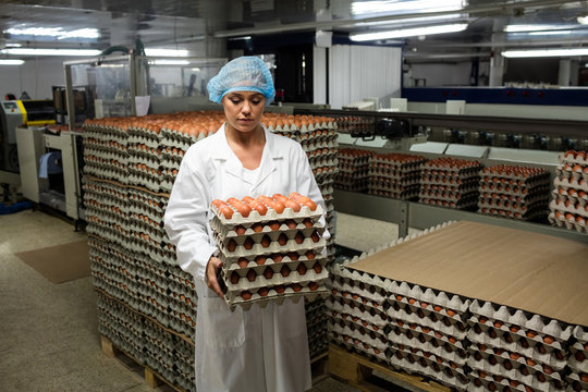 Female staff holding a carton of eggs
