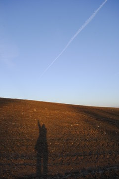 Optimist