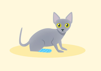 Cat with a broken leg Vector. Cartoon