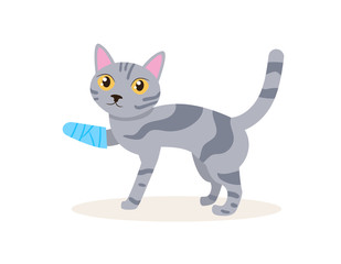 Cat with a broken leg Vector. Cartoon