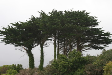Nationalpark Co. Kerry
