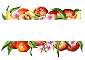 Fresh peaches horizontal template. Watercolor hand drawn illustration  isolated on white background