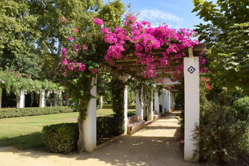 Parque de María Luisa