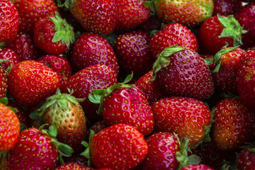 Strawberry. background
