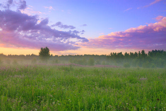 rural landscape with sunrise  and meadow