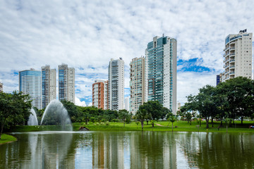 Fototapeta premium parque flamboyant