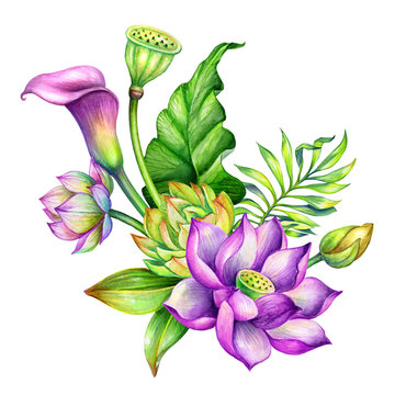 recommend clip art: watercolor botanical illustration, tropical flowers, floral arrangement, greeting card, bridal bouquet, oriental nature, lotus, calla lily, green leaves, lotos isolated clip art, white background