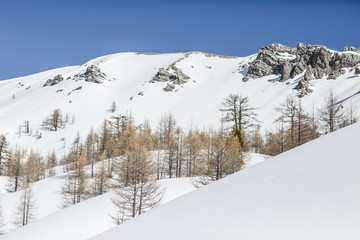 Paysage de montagne enneigée