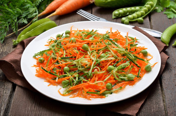 Vegetable salad with carrot, cucumber, pine nuts and green peas