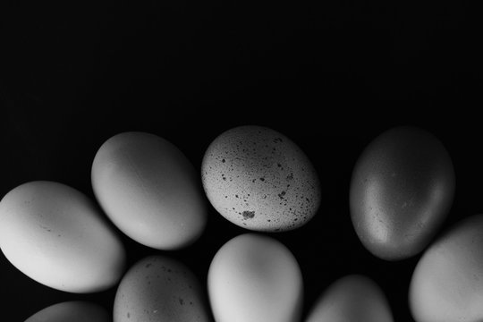 Black and white eggs from chicken for breakfast food.  