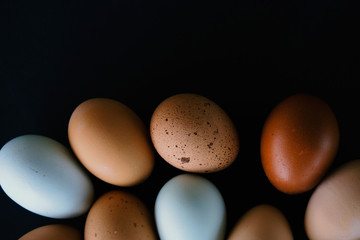 Farm fresh brown and blue eggs for healthy breakfast food.  Egg from chicken isolated in shell on black background.