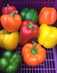 Colorful Peppers