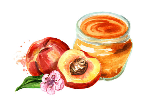 Organic fruit jam. Glass jar of peach marmalade and fresh fruit isolated on white background. Watercolor hand drawn  illustration