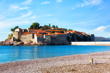 A dog stands on the beach in the background of Sveti Stefan island in Budva