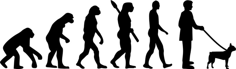 Boston terrier evolution
