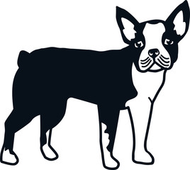 Boston terrier silhouette real