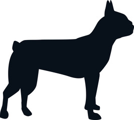Boston terrier silhouette black