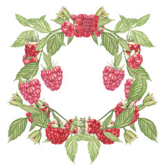 Hand drawn watercolor wreath of flowers of raspberry on white background. Botanical illustration.