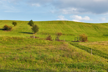Fototapeta na wymiar rural pasture landscape