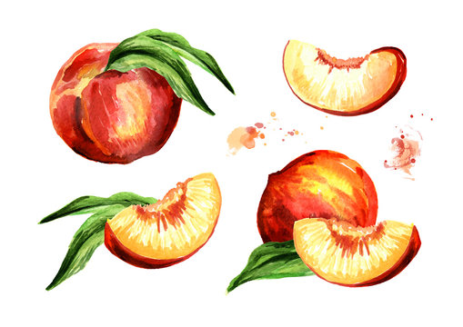 Peach set. Watercolor hand drawn illustration, isolated on white background