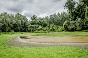 Fototapeta na wymiar Swamp in Petrovaradin near the town of Novi Sad 