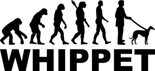 Whippet evolution word - obrazy, fototapety, plakaty