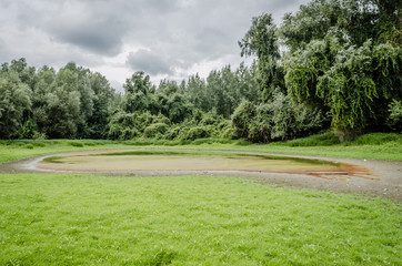 Swamp in Petrovaradin near the town of Novi Sad 