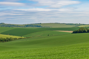 Green Sussex Landscape