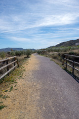 Fototapeta premium The green way of Lucainena under the blue sky in Almeria