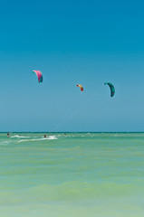 Front view of three colorful canopy, filled with wind, pulling young males, kiteboarding at fast speed through rough ,tropical water of  the Gulf of Mexico