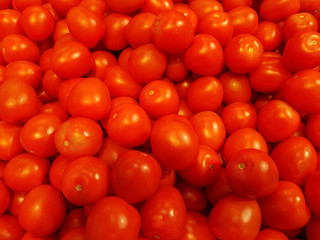 Some tomatoes are waiting to be sold