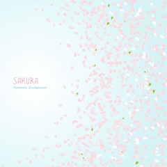 Simple romantic frame for text. Sakura petals. Spring flyer. Blooming cherry blossom petals. Hanami. Japanese Culture. Scatter. Warm colors. Spring is coming.