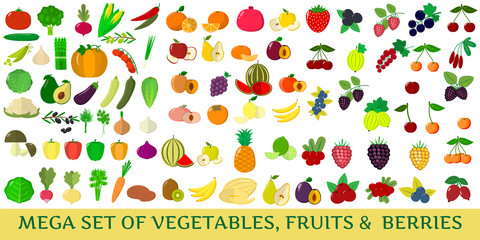 Mega set of fresh vegetables, fruits and berries illustrations on a white background.