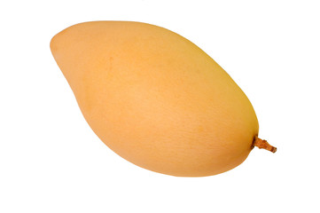 a yellow mango fruit closeup isolated on a white background