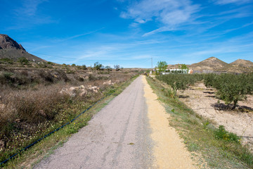 The green way of Lucainena under the blue sky in Almeria
