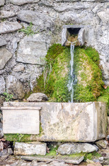 A little watering hole on a mountain path with a small fall coming out of a hole in a mossy stone wall