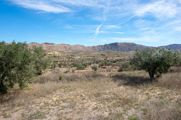 Fototapeta premium The green way of Lucainena under the blue sky in Almeria