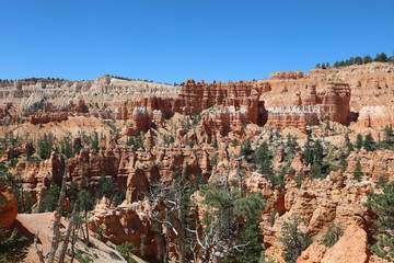 Fototapeta na wymiar Rock Hoodoos im Bryce Canyon Nationalpark in Utah. USA