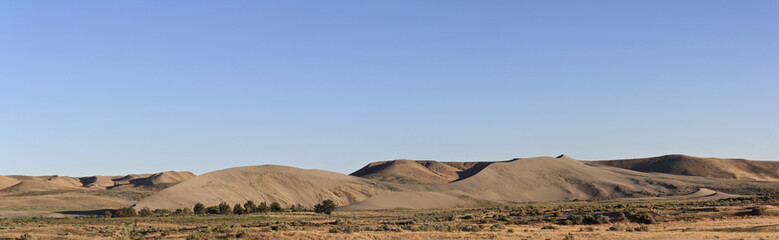 Fototapeta na wymiar panoramic, Bruneau Dunes State Park, Bruneau Idaho