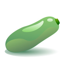 Green zucchini vector illustration