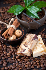 Spa still life with coffee beans on dark  background