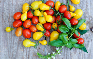 colorful cherry tomatoes on the wooden rustic background