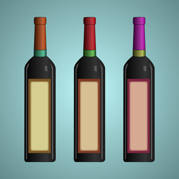Design of a bottle for wine. A wine bottle. Capacity for alcohol. Glass containers.