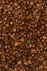 Obraz premium coffee beans