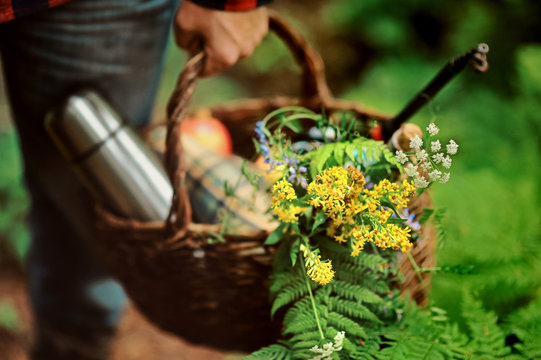 Young Couple Walking In Garden With Picnic Basket