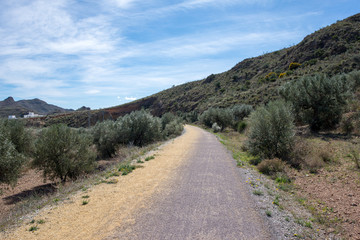 Fototapeta na wymiar The green way of Lucainena under the blue sky in Almeria