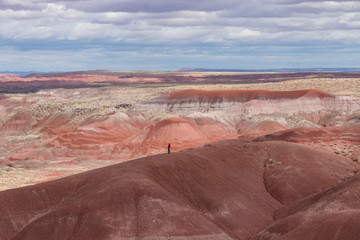 Man overlooking the Painted Desert at Petrified Forest National Park