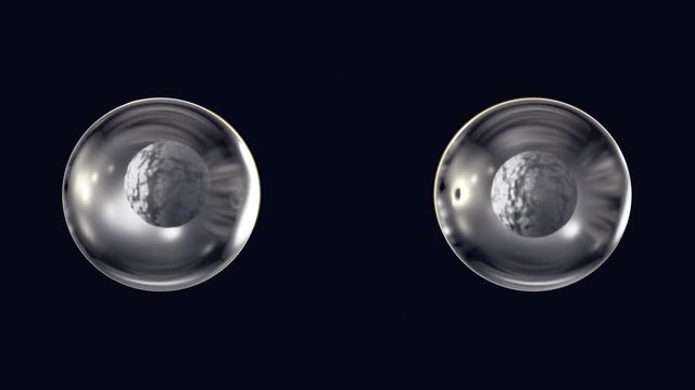 Cell Division Animation