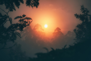 Misty sunset over the tea plantations of Munnar, Kerala, India. Beautiful nature. The sun is in the clouds.
