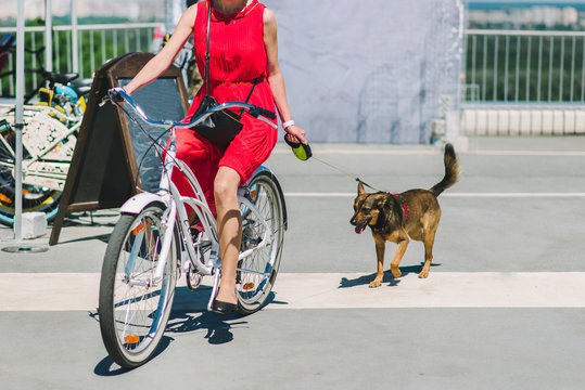 The Girl In A Red Dress Rides A Bike With A Dog On A Leash. Walk Around The City On A Bicycle And With A Dog